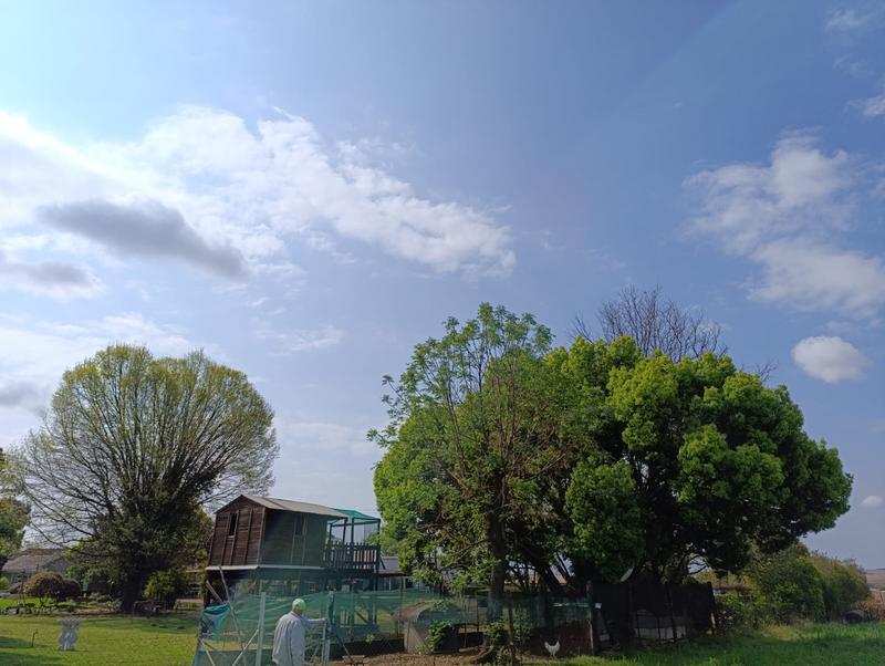 4 Bedroom Property for Sale in Middelburg Eastern Cape